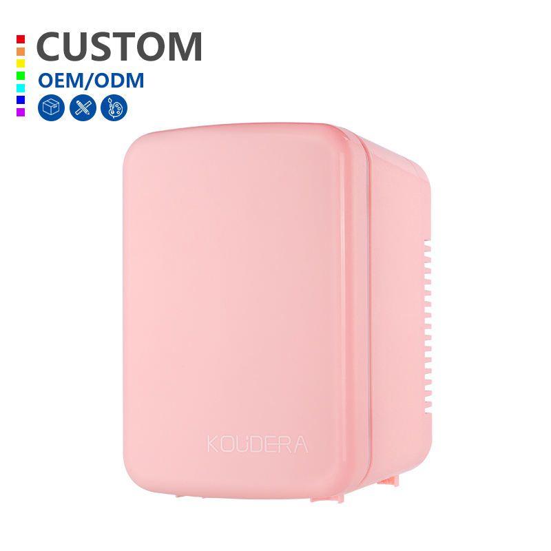 12V Small Refrigerator Portatil 6L Mini Beauty Fridge Car Home Dual Use Beverage Fridge for Room