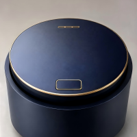 Round Electric Rice Cooker Crispy Rice Multifunctional All in One Cooker 1.2L Non-Stick Smart Touch for 2-3 People