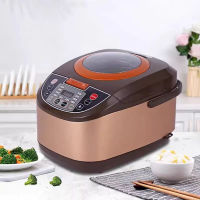 2025 5L Stainless Steel Electric Rice Cooker Multifunctional Microcomputer Booking Timing Kitchen Car with Measuring Cup 220V