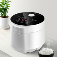 OEM Free 3L Electric Double Pots Rice Cooker High Quality Mini Drum Shape 5L Capacity Plastic Direct Guangdong Manufacturer