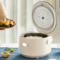 1.8L Portable Mini Rice Cooker with Non-Stick Coating Household Use China Manufacturer OEM Automatic Digital Smart Cooker