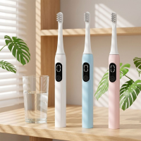Factory Wholesale New Adult Portable with Electric Toothbrush