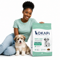 Bulk Wholesale Dog Complete Nutrition Adult Dry Dog Food Private Label Customizable 2kg 5kg 10kg 15kg 20kg Packaging Sizes