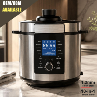 Direct Factory 5L 6L Digital Pressure Cooker 10 Cooking Functions CE CB Certified Customizable OEM ODM Wholesale Manufacturer