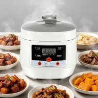 Ewant 2.5L Small Size Mini Pressure Cooker Household Electric Pressure Cooker