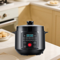2025 New Upgrade Intelligent Stainless Steel Electric Rice Cooker Steamer Slow Cooker Multifunction Digital Pressure Cooker