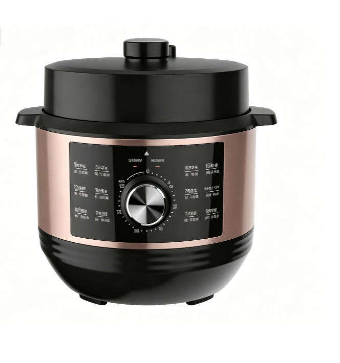 6L 1000W Stainless Steel Electric Pressure Cooker 13-in-1 Digital Control for Household Use