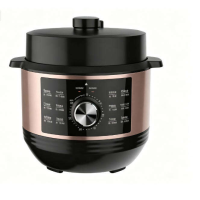 6L 1000W Stainless Steel Electric Pressure Cooker 13-in-1 Digital Control for Household Use