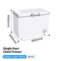 Single Temperature Deep Freezer Refrigerator Horizontales Freezers Cold Storage Deep Freezers for Sale Supermarket Refrigerator